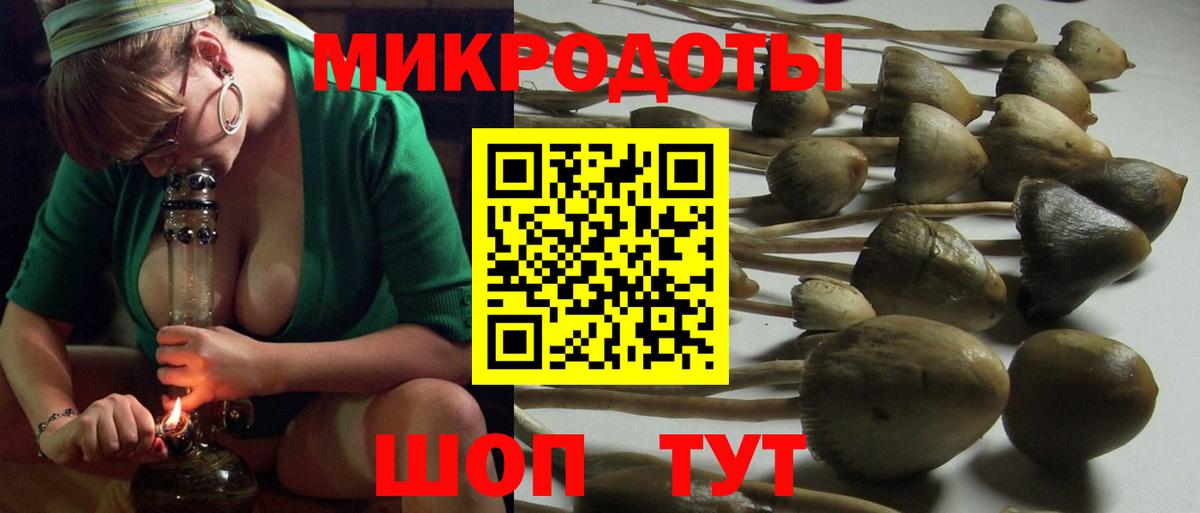 Можайск  Псилоцибиновые грибы мицелий  Вход с VPN  Псилоцибиновые грибы мицелий 